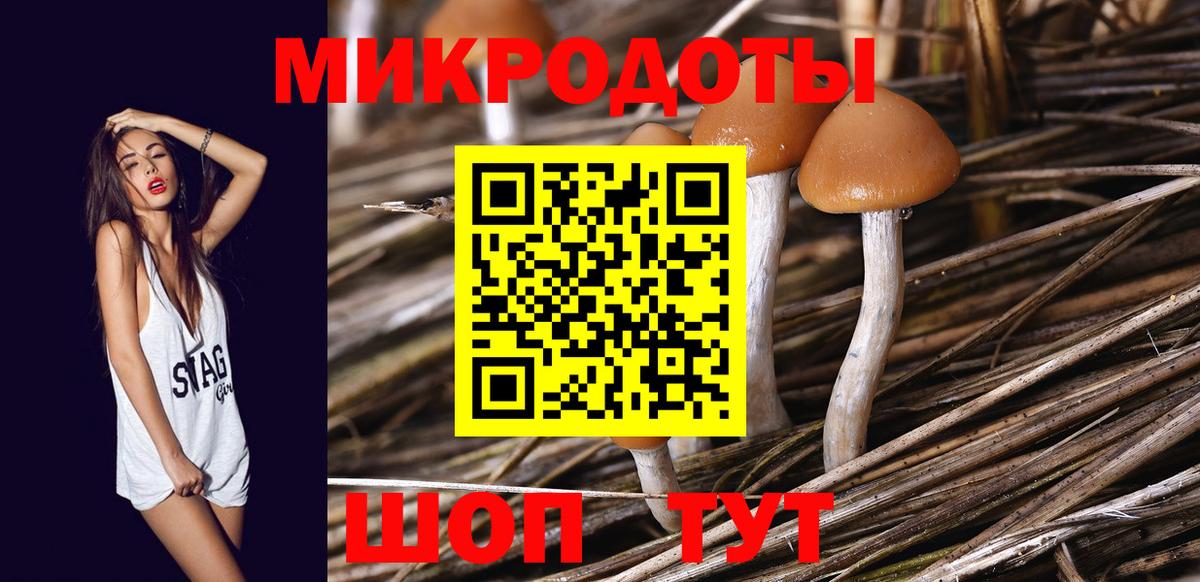 Галлюциногенные грибы Magic Shrooms Артём